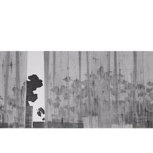 《万物生而有翼》