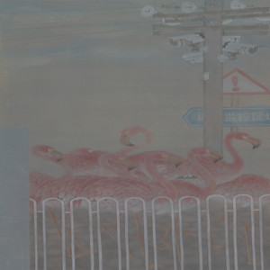 《子非鸟系列》之二