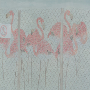 《子非鸟系列》之三