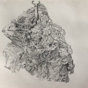 《菜市场的肉（三）&mdash;线条与光影的组合》之一