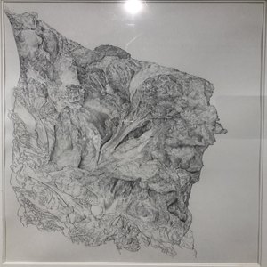 《菜市场的肉（三）&mdash;线条与光影的组合》之二