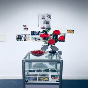 生长的家庭博物馆