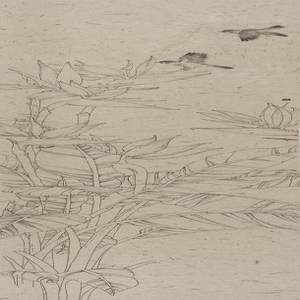 《岁月如歌》之六