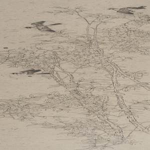 《岁月如歌》之七