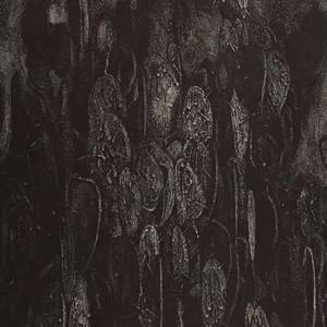 给NI系的不是围脖（二）