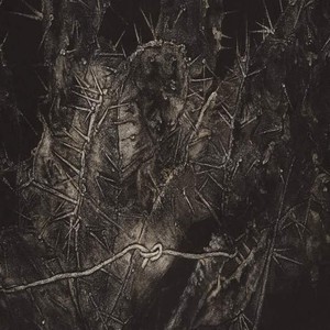 给NI系的不是围脖（四）