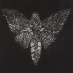智械系列之《蛾》