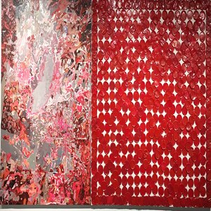 对大红色的研究