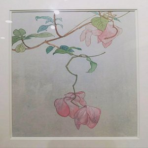 《吉光片羽》&middot; 七