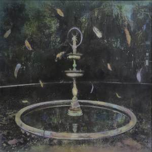 羽毛的委委屈屈