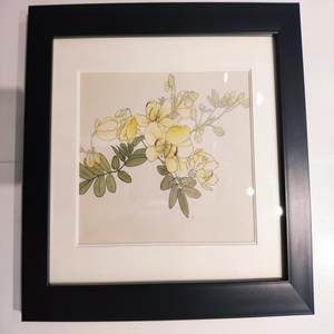 《吉光片羽》&middot; 五