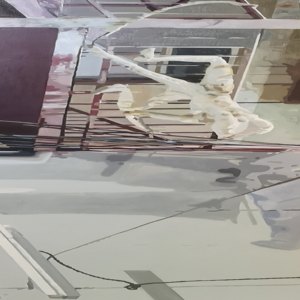 重构的风景&mdash;&mdash;蜥蜴